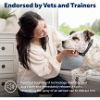 PetSafe Audible Bark Collar
