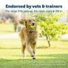 PetSafe Free to Roam Wireless Fence Extra Collar   PIF00 15002