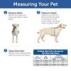 PetSafe Wall Entry Pet Door   Medium   ZPA00 16202